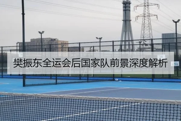 樊振东全运会后国家队前景深度解析